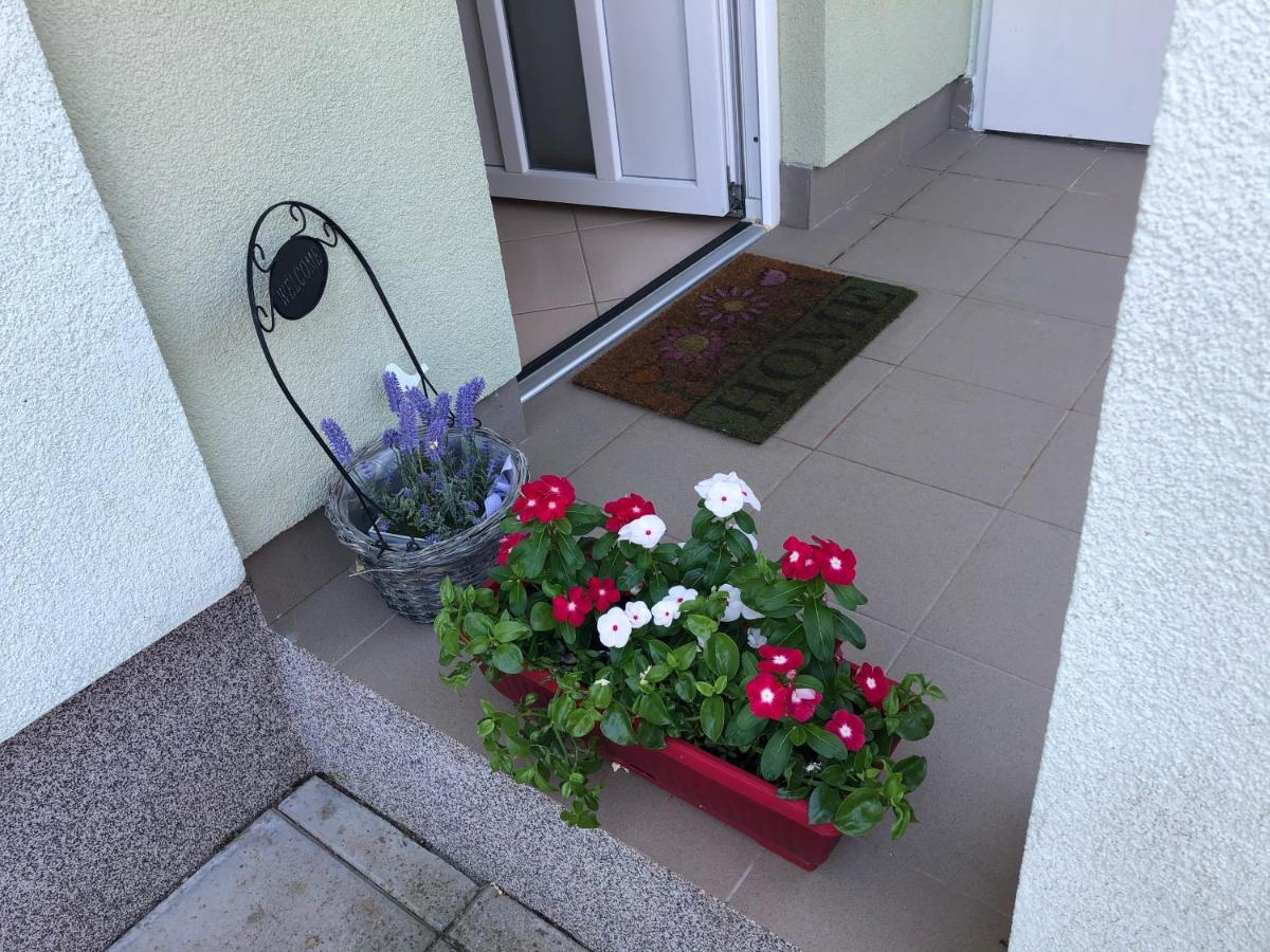 Apartman Igor Чижичи Экстерьер фото